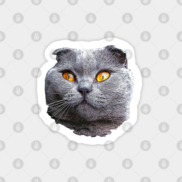 Scottish Fold Blue Beauty Sticker by ElegantCat